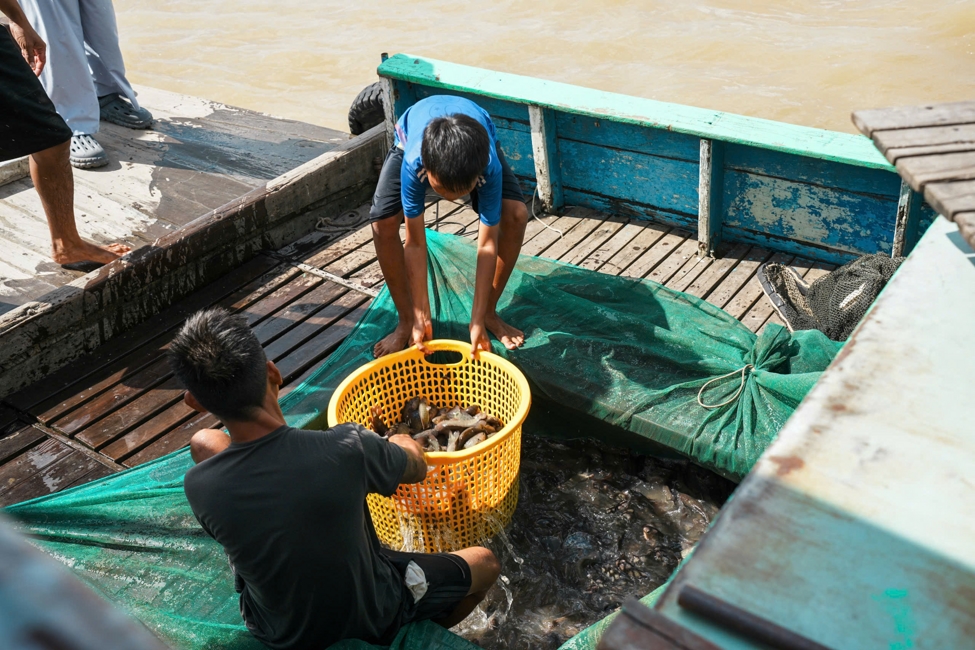 ĐẠO TRÀNG MINH CHẤT TRANG NGHIÊM TỔ CHỨC KHÓA TU “NIỆM PHẬT” LẦN THỨ 6 – NĂM 2026.