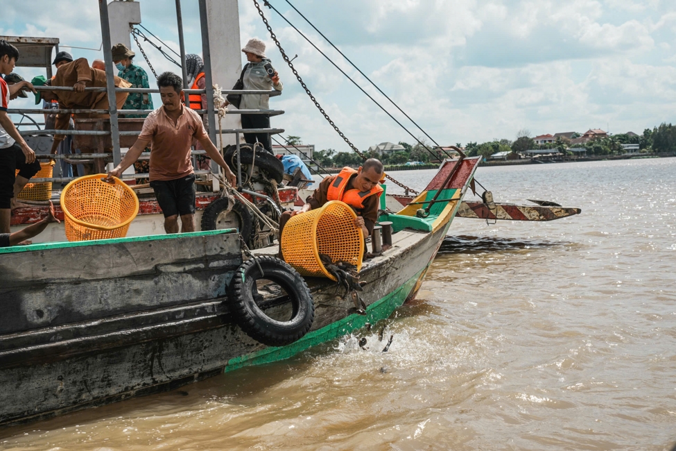 ĐẠO TRÀNG MINH CHẤT TRANG NGHIÊM TỔ CHỨC KHÓA TU “NIỆM PHẬT” LẦN THỨ 6 – NĂM 2026.