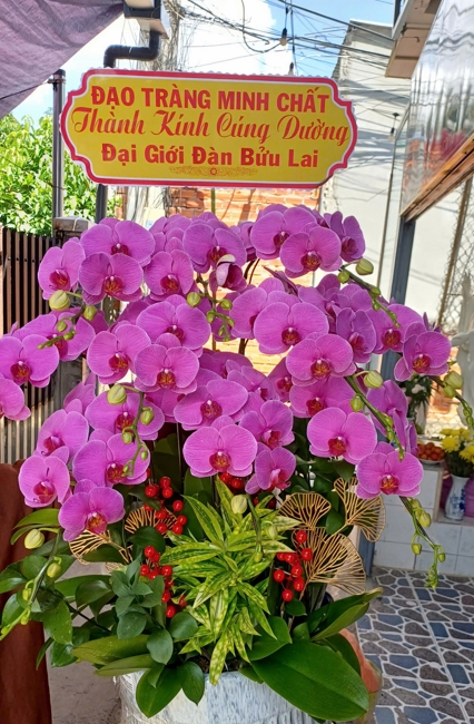 ĐẠO TRÀNG MINH CHẤT TRANG NGHIÊM TỔ CHỨC KHÓA TU “NIỆM PHẬT” LẦN THỨ 6 – NĂM 2026.