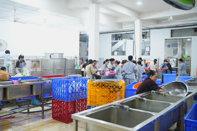 Pháp thoại Điều Gì Đưa Đến Thành Công - Điều Gì Dẫn Đến Bại Vong - NS. Thích Nữ Hiếu Liên | Khoá tu Phật thất 109.