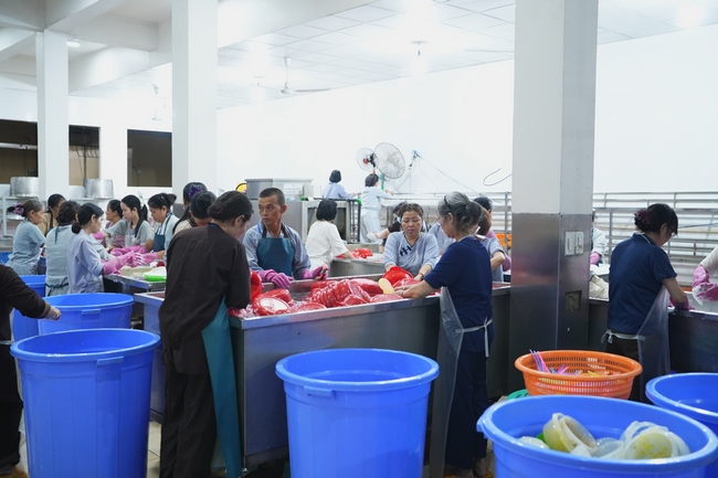 Pháp thoại Điều Gì Đưa Đến Thành Công - Điều Gì Dẫn Đến Bại Vong - NS. Thích Nữ Hiếu Liên | Khoá tu Phật thất 109.