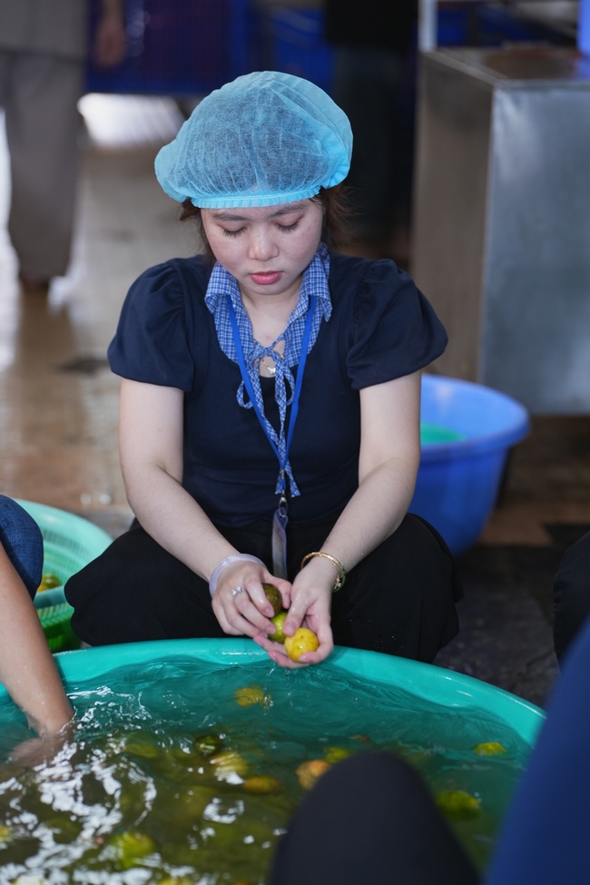 Pháp thoại Cúng Dường Pháp Theo Kinh Phổ Hiền - TT. Thích Pháp Đăng | Khoá tu Phật thất 109.
