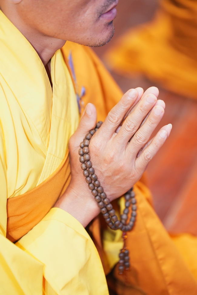 Dharma Talk: The Art of Dharma Gleaning Delivered by Venerable Nun Thich Nu Nhu Lan at the 109th Seven-Day Retreat.