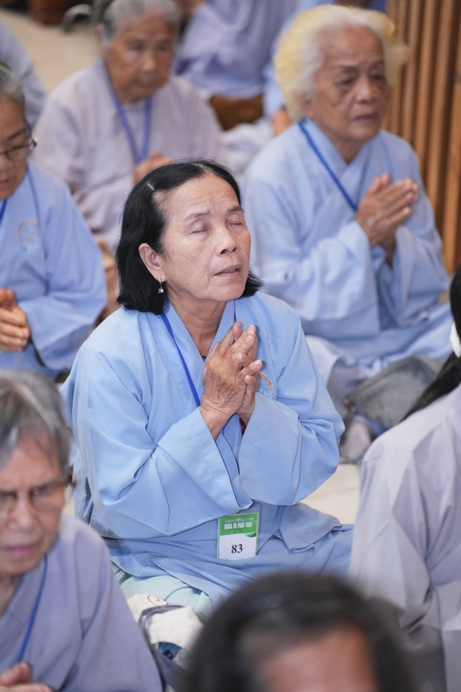Dharma Talk: The Art of Dharma Gleaning Delivered by Venerable Nun Thich Nu Nhu Lan at the 109th Seven-Day Retreat.
