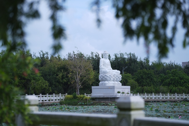 Nhóm Phật tử Liên Huệ, Liên Hương, Liên Trinh và Ngọc Nhu phát tâm cúng dường sữa hạt sen và đậu hủ Singapore đến Học viện Phật giáo Việt Nam tại TP. Hồ Chí Minh (cơ sở 2, xã Bình Lợi) và chùa Thanh Tâm.