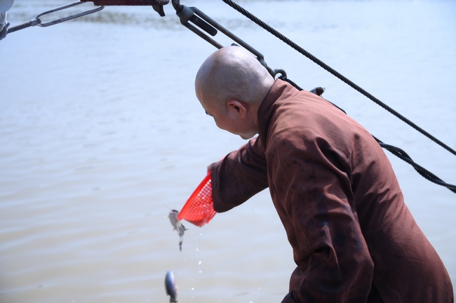 Phóng sinh tại bến phà Bình Mỹ.