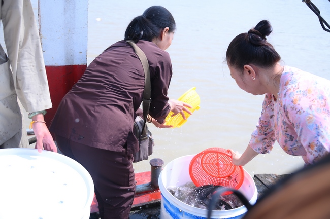 Phóng sinh tại bến phà Bình Mỹ.