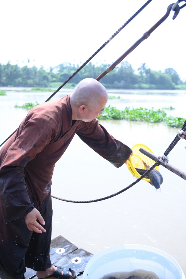 Phóng sinh tại bến phà Bình Mỹ.