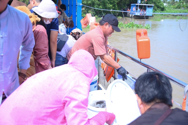 Phóng sinh tại bến phà Bình Mỹ.