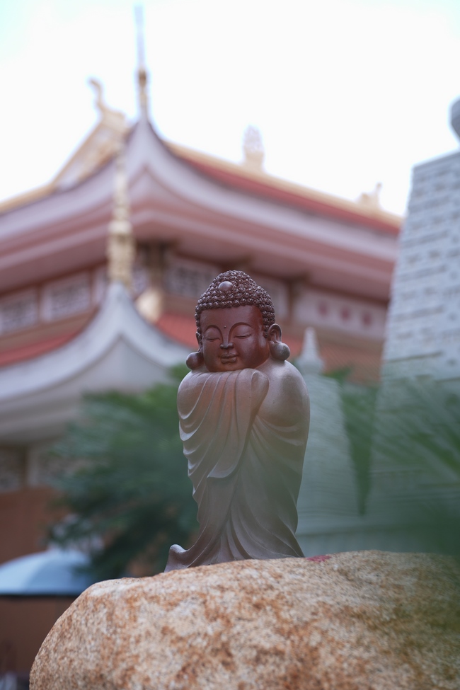 Pháp thoại Dạy Niệm Phật Trả Hiếu Cho Mẹ - HT. Thích Nhật Hỷ | Khoá tu Phật thất 109.